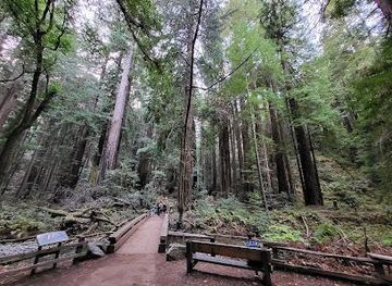 california/san-francisco/attraction/muir-woods-national-monument