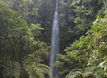 ecuador/morona-santiago-region/attraction/cascada-hola-vida