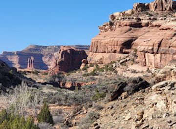 utah/canyonlands/attraction/mill-canyon-dinosaur-bone-trail