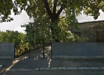 romania/focsani/attraction/stejar-secular