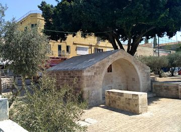 israel/nazareth/attraction/the-ancient-bathhouse-cactus-gallery
