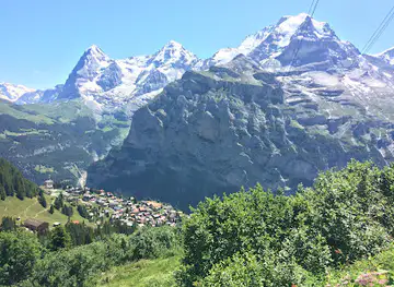 Flower Trail