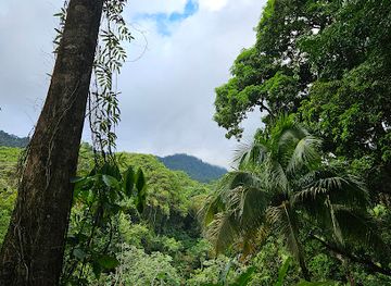 trinidad-and-tobago/asa-wright-nature-centre/attraction/el-cerro-del-aripo