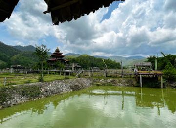 thailand/pai/attraction/selfie-photo-stair-bamboo-rice-field