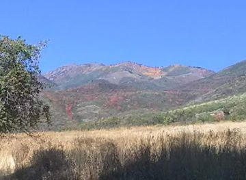 utah/bear-river-valley/attraction/huber-grove