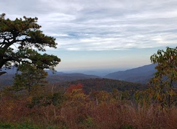 virginia/blue-ridge-parkway/attraction/blue-ridge-parkway-wetlands