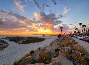 california/coronado/attraction/coronado-dog-beach