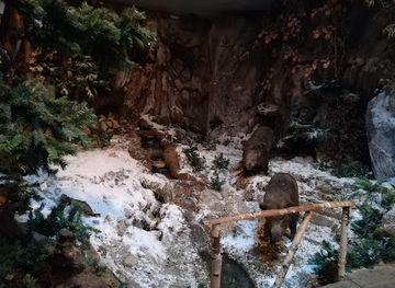 romania/prahova/attraction/muzeul-natura-vaii-teleajenului