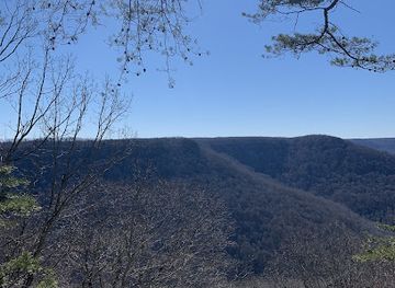 tennessee/sequatchie-valley/attraction/denny-cove-falls