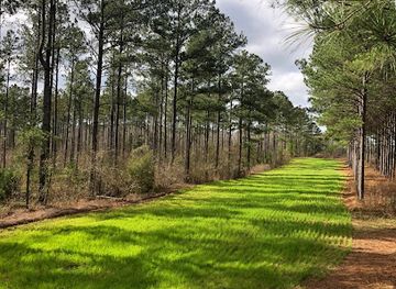 alabama/piney-woods/attraction/piney-woods-hunting-lodge-in-eufaula-alabama