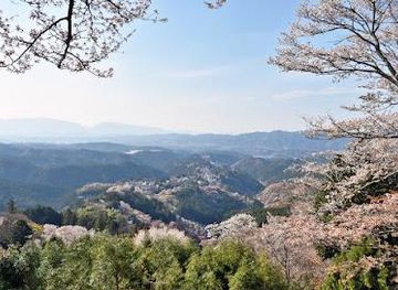 japan/nara/attraction/hanayagura-observation-point