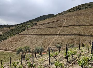 portugal/douro-valley/attraction/quinta-vale-dona-maria