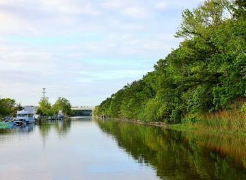 delaware/delaware-beaches/attraction/the-sand-dollar