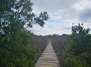 costa-rica/central-pacific/attraction/playa-avellanas