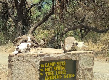 tanzania/tarangire-national-park/attraction/hot-springs-boardwalk