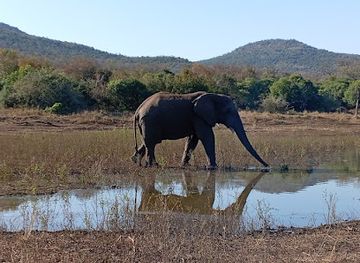 south-africa/elephant-coast/attraction/mkuze-falls
