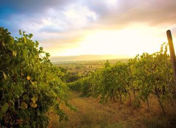 italy/assisi/attraction/cantina-tili-vini-bio