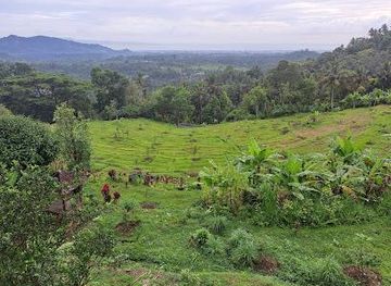 indonesia/bali/attraction/bukit-jambul