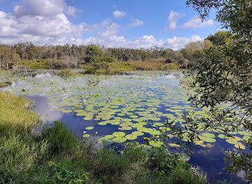 australia/byron-bay/attraction/byron-wetlands