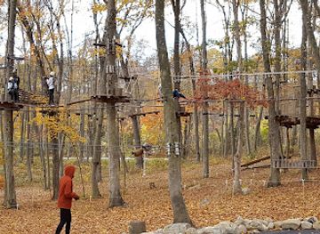 connecticut/mystic-seaport/attraction/treetrails-adventures-mystic