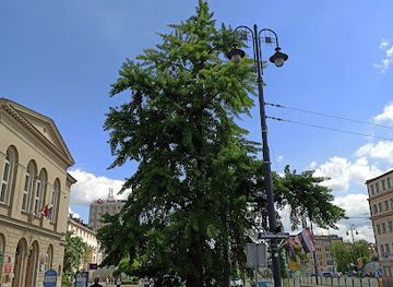 poland/bydgoszcz/szwederowo/attraction/milorzab-dwuklapowy