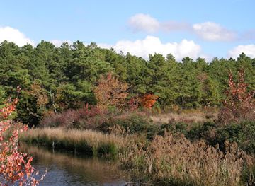 new-jersey/pine-barrens/attraction/new-jersey-pinelands-national-reserve