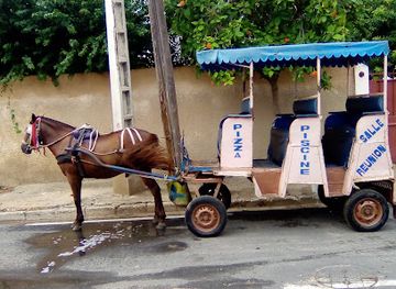 senegal/lompoul-desert/attraction/modou-caleche-saint-louis