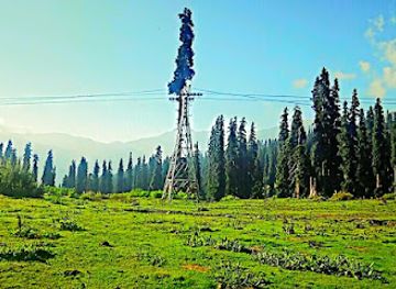 india/gulmarg/attraction/local-guide
