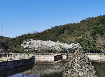 japan/kawachi/attraction/kawachi-sakura-park
