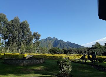 rwanda/karisimbi-volcano/attraction/parc-national-des-volcans