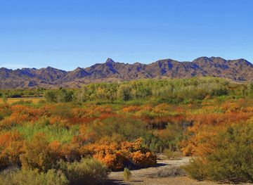 arizona/yuma-county/attraction/imperial-national-wildlife-refuge