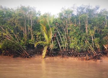 bangladesh/sundarbans-national-park/attraction/sundarban-national-forest