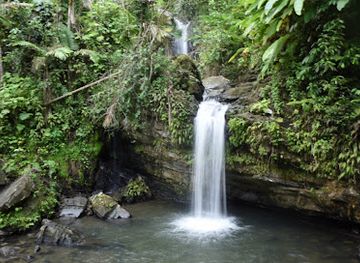 puerto-rico/west-region/attraction/juan-diego-falls