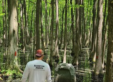 arkansas/delta/attraction/louisiana-purchase-state-park