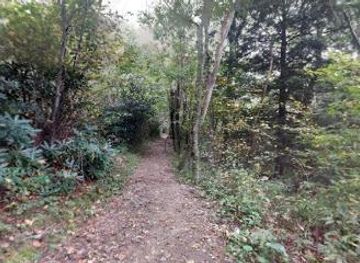 north-carolina/asheville/attraction/mount-pisgah-trail