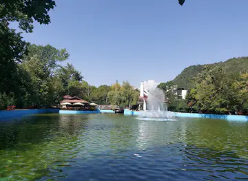 Zăvoi