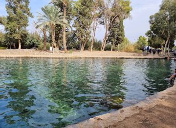 israel/beit-she-an/attraction/park-hama-ayanot