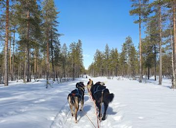norway/trysil/attraction/fjell-huskies-adventures-as
