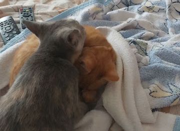 cabo-verde/sao-nicolau/attraction/ilheu-branco