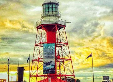 australia/eyre-peninsula/attraction/south-neptune-island-lighthouse