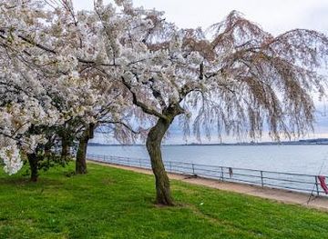 maryland/silver-spring/attraction/east-potomac-park