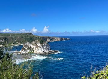 northern-mariana-islands/tinian/attraction/bird-island-observatory
