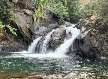 philippines/palawan/attraction/estrella-falls