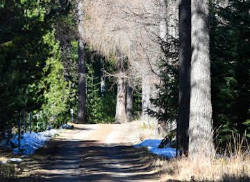 finland/savonlinna/attraction/tree-species-trail