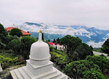 india/eastern-india/attraction/the-zang-dhok-palri-monastery