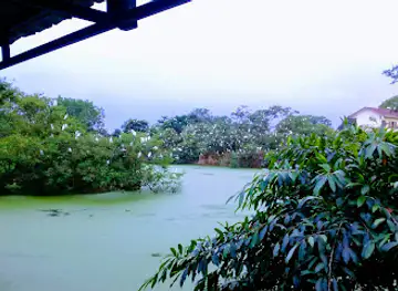 Penangkaran Buaya Asam Kumbang