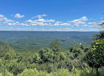 maryland/appalachian-plateau/attraction/green-ridge-state-forest