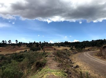 kenya/nyandarua-range/attraction/shamata