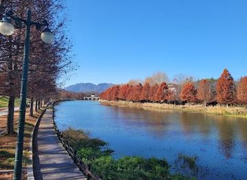 south-korea/gwangju/attraction/damyang-gwanbangjerim-forest