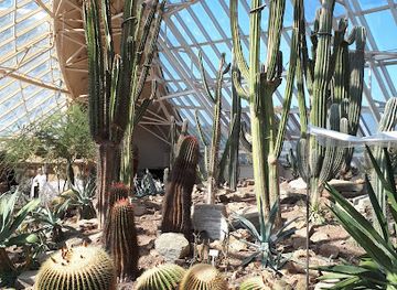 south-korea/jeonju/attraction/samcheon-dong-makgeolli-alley